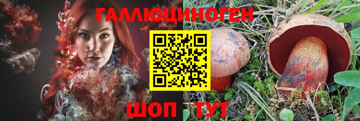 Галлюциногенные грибы Psilocybine cubensis Черняховск