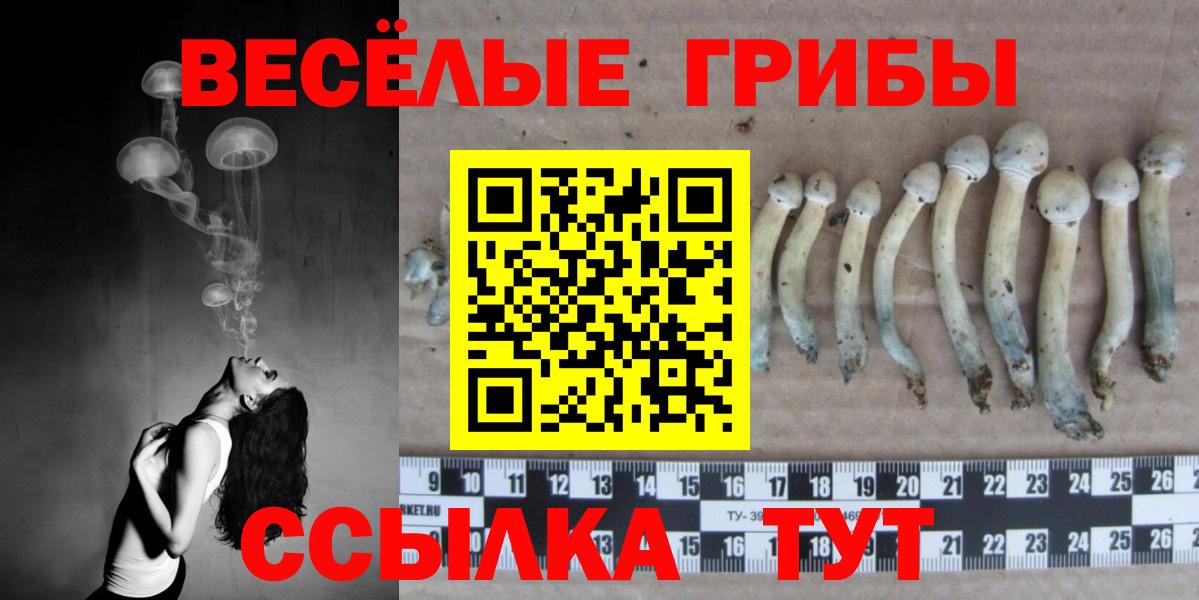 Галлюциногенные грибы прущие грибы  Вход с VPN  Черняховск 